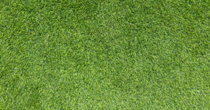 Warning for all UK households who have artificial grass