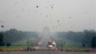 Delhi Records Best November 4 AQI in 7 Years India News