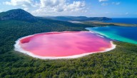 Australia’s Cotton-Candy Lake Is Changing Colour, and Scientists Are Worried