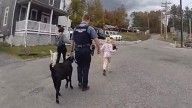 HCPD helps return two lost goats to owner in Ellicott City