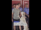 Firefighters reunite with the dog they saved from a burning house