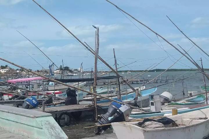 Más de tres mil embarcaciones del Litoral Oriente de Yucatán, paralizadas por el Frente Frío 13