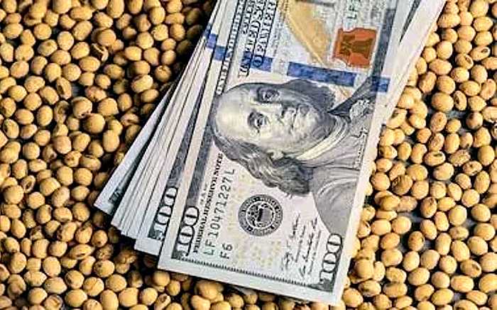 Soja: en octubre se liquidaron apenas 1100 millones de dólares, pero el negocio ya lo hicieron
