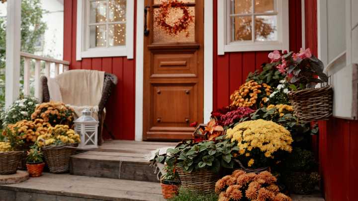 You'd Never Guess These Gorgeous Potted Mums Are Fake