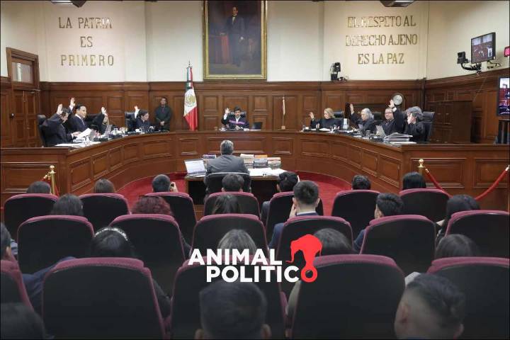 Corte ordena nuevo pago de Salinas Pliego por 67 mdp; queda un amparo pendiente