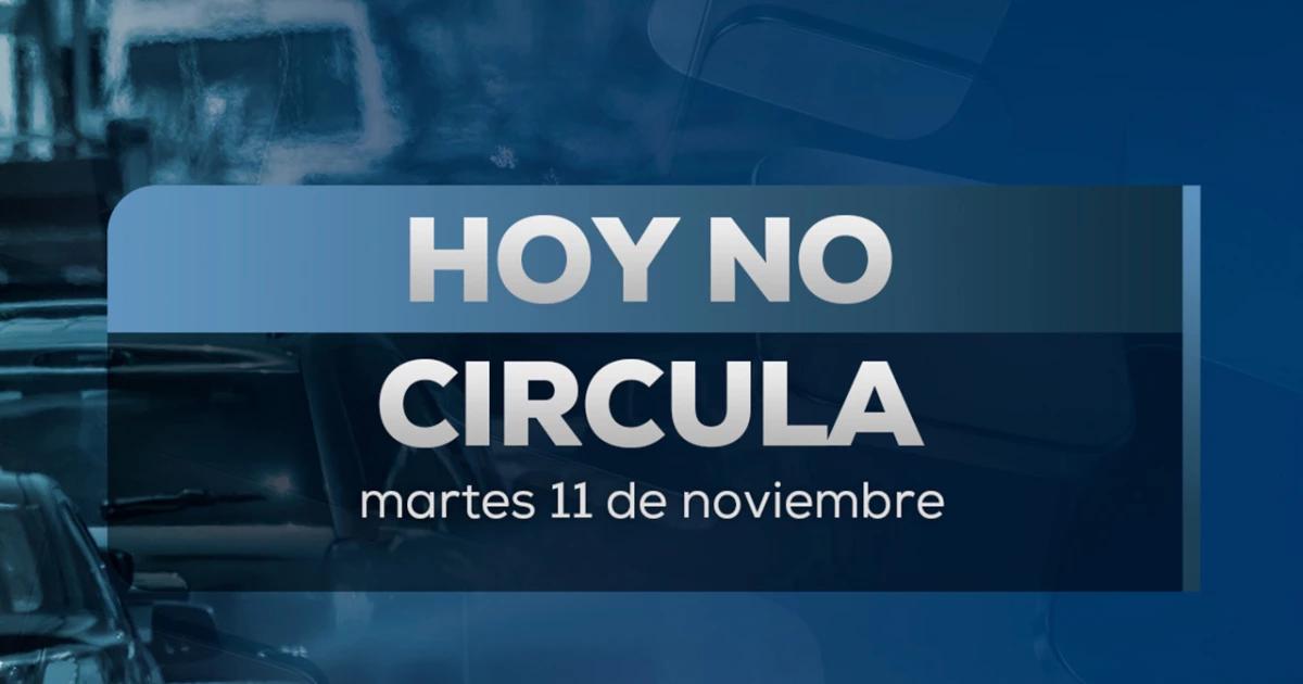 ¡Qué no te multen! Así queda el Hoy No Circula para este martes 11 de noviembre en CDMX y Edomex