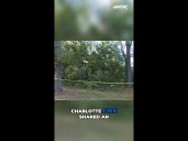 Tree smashes into east Charlotte apartment building