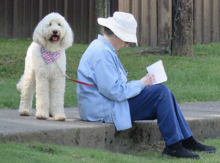 Paws, Puppets, and a Presidential Pup! Children’s Book Launch at the White Sulphur Springs Public Library