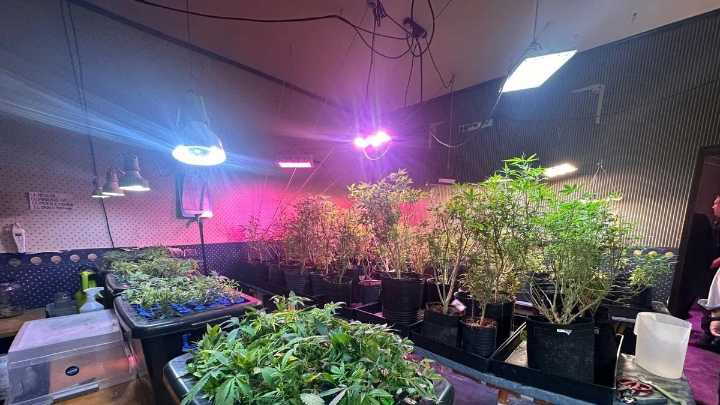 Cayeron 23 narcos que traficaban a metros de una escuela