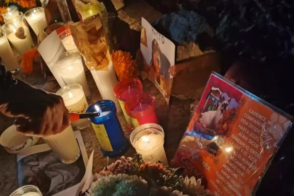 Afectados por caso Xibalbá se organizan para salir a marchar