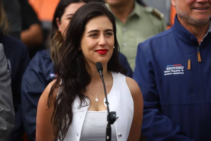 Por solicitud de Macarena Ripamonti: Gobierno estudia ampliar refuerzo policial en Viña del Mar durante el verano