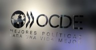 Ingreso a la OCDE: tras un duro informe, un funcionario clave llega a la Argentina