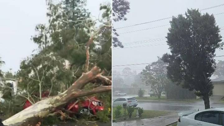 7NEWS live updates: Sydney smashed by wild spring storm; Patterson fights for freedom