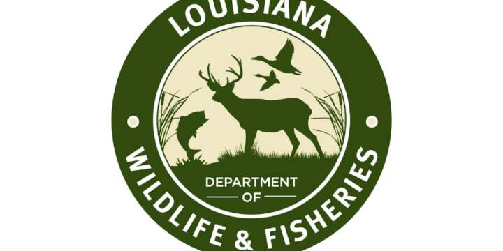 Farmerville man arrested, accused of hunting deer using illegal weapons and more