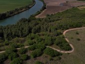 Abu Dhabi Unveils World's First AI-Powered Environmental Portal at COP30