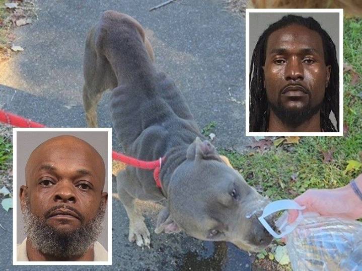 Second suspect charged in Warren animal cruelty case