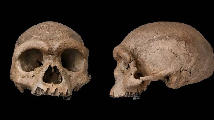 Descubrimiento en Japón que sorprende a la ciencia: hay muy poco ADN de una raza extinta de humanos