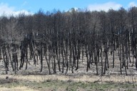 Para comprender y gestionar mejor los incendios forestales debemos observar el paisaje