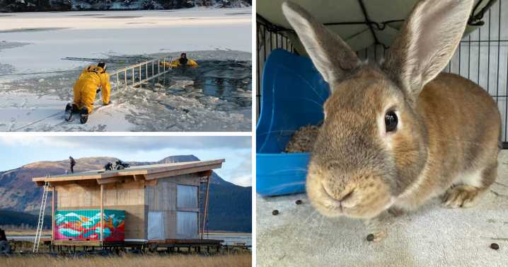AROUND ALASKA: Ice Training, Education Center, and Rabbits Galore!