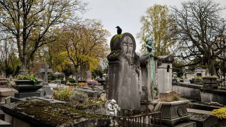 Paris residents can enter lottery to share cemetery space with Jim Morrison and Oscar Wilde
