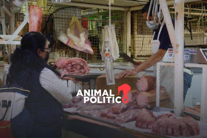 México suspende importación de carne de cerdo española por peste porcina africana