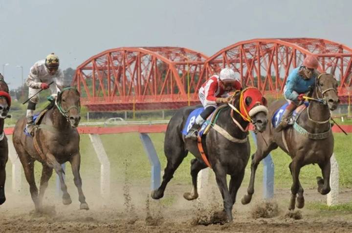 La grey burrera tendrá 23 carreras para disfrutar en el Hipódromo