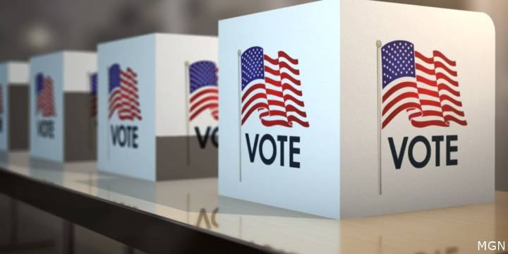 Your Vote Counts 2025: General Election voting guide