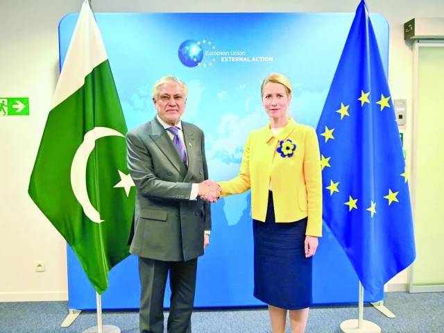 EU, Pakistan call on Kabul to rein in terror groups