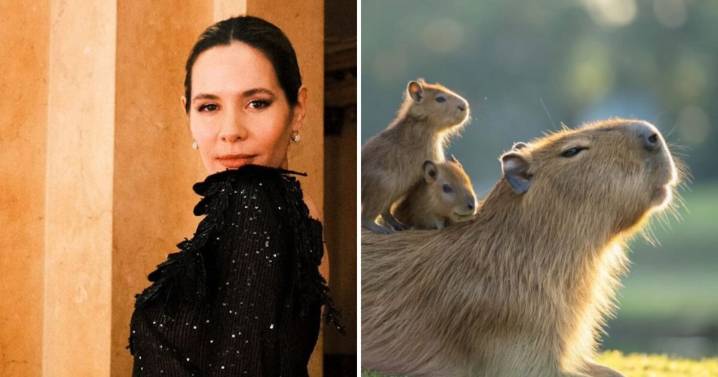 "Qué injusticia tu partida": el dolor de Elina Costantini por la muerte de su carpincha