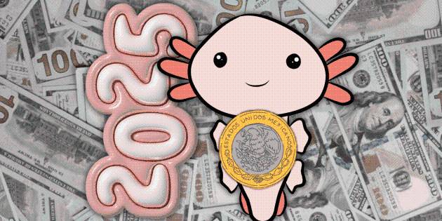 Calculan en cuánto cerrará el peso este 2025 frente al dólar