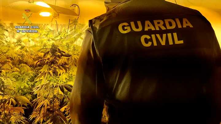 Desarticulan un clan familiar en Burriana que utilizaba a un menor para traficar con droga