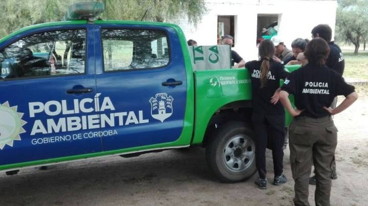 Encontró a una familia de animales viviendo en un cajón de su ropero y tuvo que pedir ayuda para rescatarla
