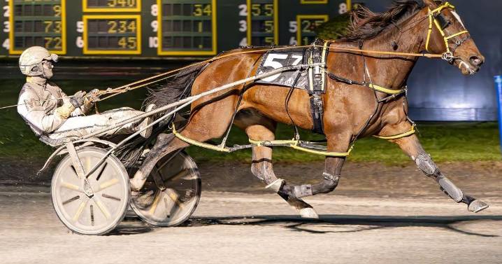 Elegant Woman N goes gate to wire in Batavia Distaff