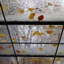 Keep that jacket handy Portland. Rain starts Monday, lasts all week