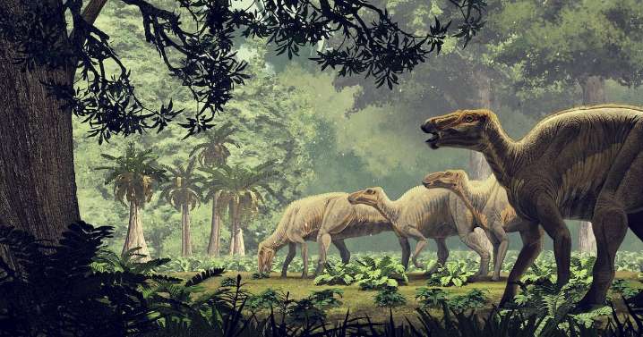 Science news: Mating injuries help in dinosaur research