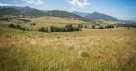 Coonerang: picturesque 1178 acre rural property in Hunter Valley