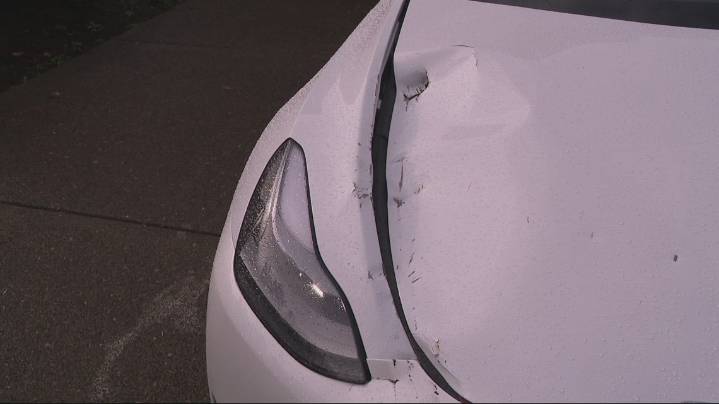 Chunks of concrete fall from Morrison Bridge viaduct, striking Portland family's car