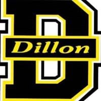 HIGH SCHOOL ROUNDUP: Dillon, Lake View football pick up victories Thursday