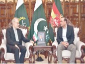 Iran offers Pakistan diplomatic 'blank cheque'