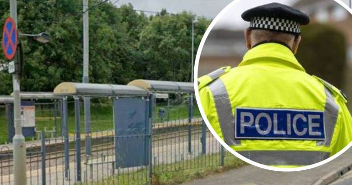 Man dies in horror tram crash - police statement in full