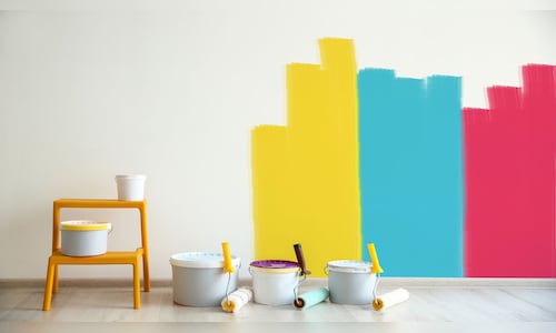 Akzo Nobel India sees competitive intensity in paints continuing, plans next growth phase