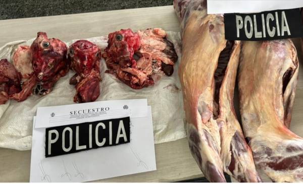 Gualjaina: le cobraron una deuda robándole tres chivitos