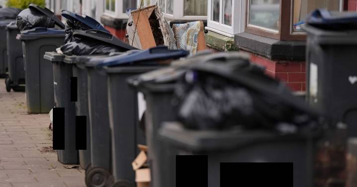 Birmingham Christmas bin collection dates announced despite strike action