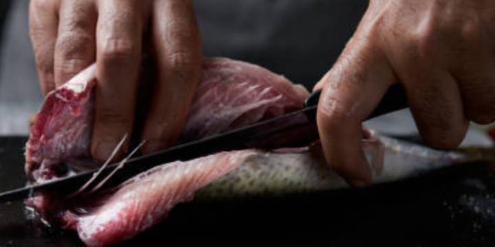 Ministerio de la Producción avala decreto inconsulto que favorece retroactivamente a 12 pesqueras y deja sin piso a fiscalías ambientales en ANP