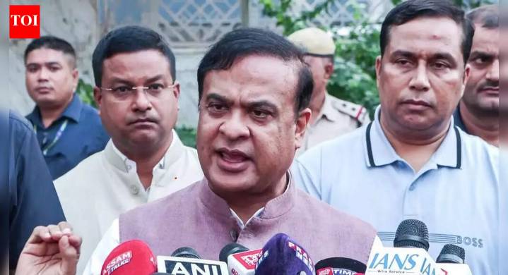 'Gogoi can contest elections in Pak': Himanta mocks Congress MP