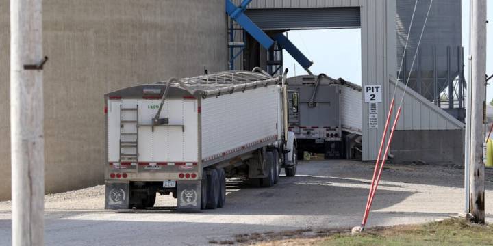 Iowa farmers have 120 days to file indemnity claims after Nebraska grain dealer announces bankruptcy