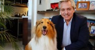 Murió Dylan, el perro de Alberto Fernández: el emotivo mensaje que conmovió a todos
