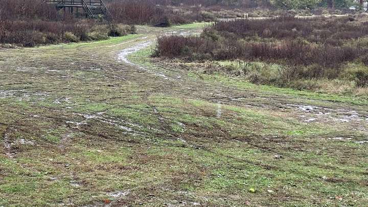 Louisville Park Ranger cracks down on vandalism