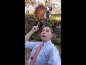 Charlotte Thanksgiving weather extremes