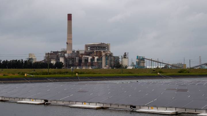 Without competition, expect TECO’s rates to go up